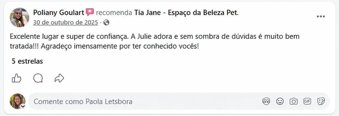 Poliany Goulart (out/2025) recomenda a Tia Jane no Facebook: “Excelente lugar e super de confiança. A Julie adora e, sem sombra de dúvidas, é muito bem tratada. Agradeço imensamente por ter conhecido vocês!”