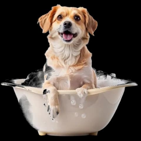 Cão dentro da banheira com espuma